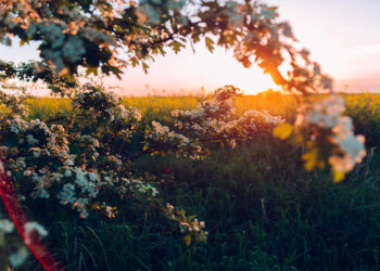 Đường đến thiên đường