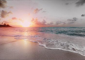 Cái gì gây LÃNG PHÍ thì LOẠI BỎ