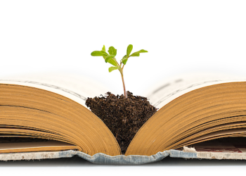 Nếu bạn không đầu tư cho bản thân, tại sao người khác đầu tư vào bạn?