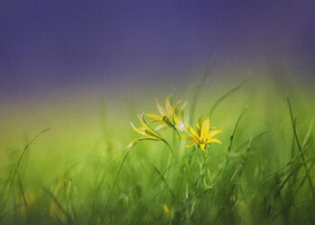 Điều tốt đẹp nhất là vẫn còn có em trên cuộc đời