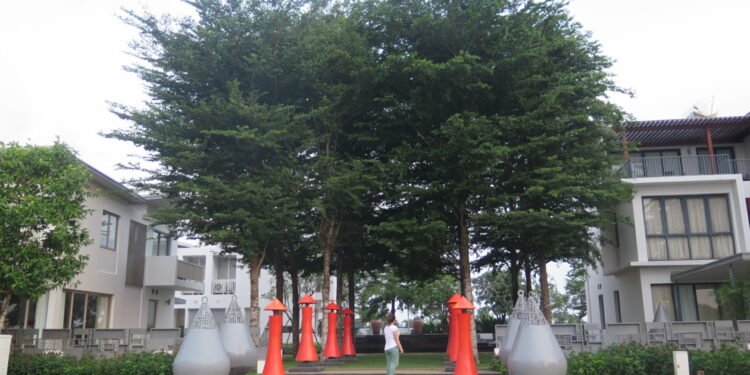 2106.08 Cuối tuần ở Sài Gòn mà không có kế hoạch làm gì