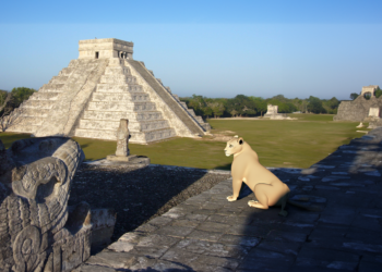 Mexico có gì mà mong chờ?